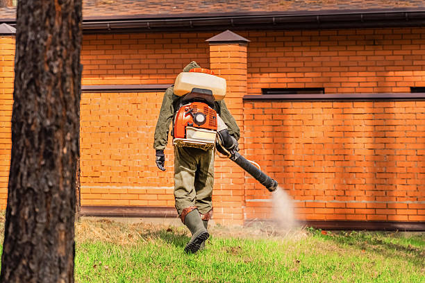 Trusted Cockroach Control service in Tucker, GA - Nex Pest Control